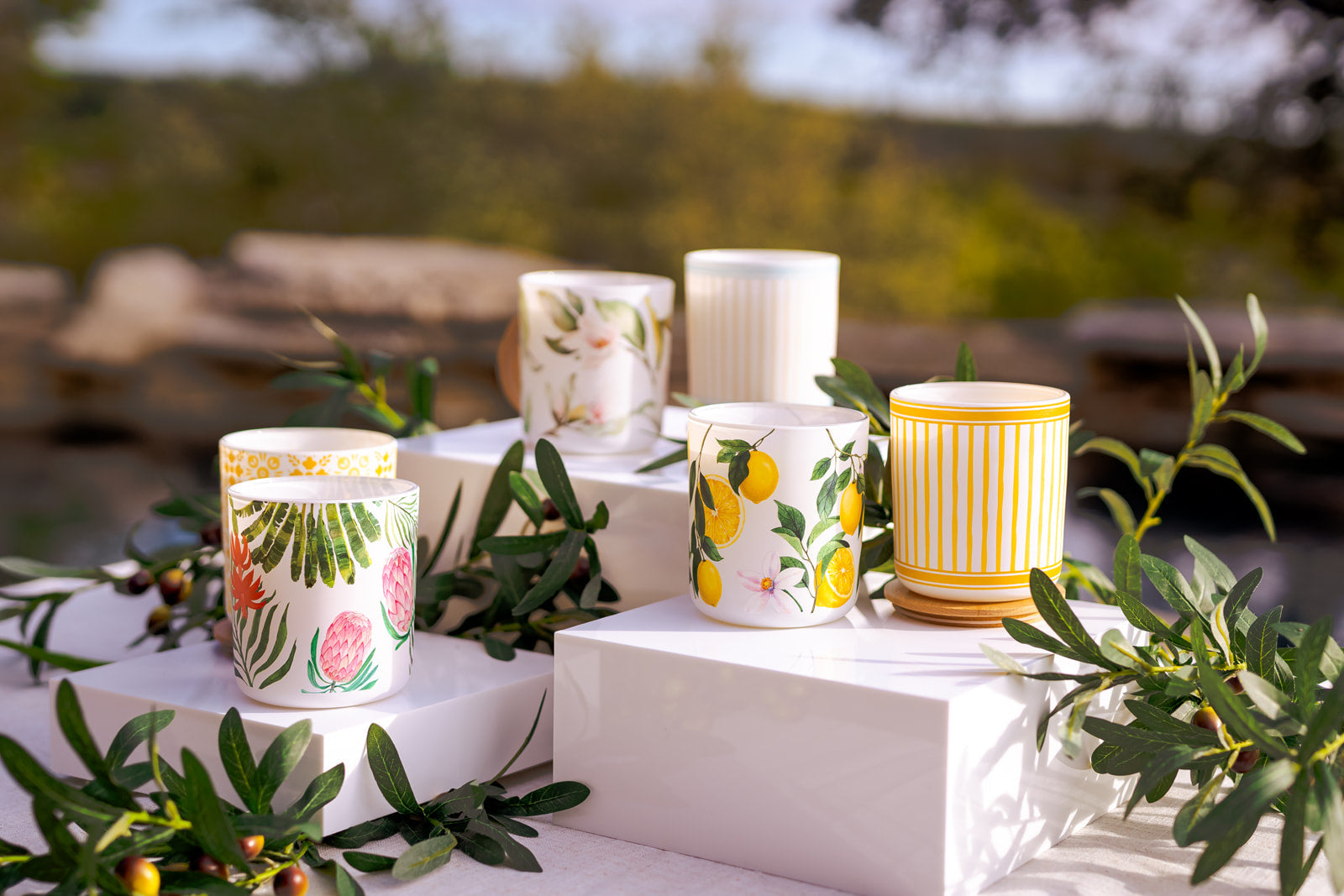 Citrus + Sunshine Collection