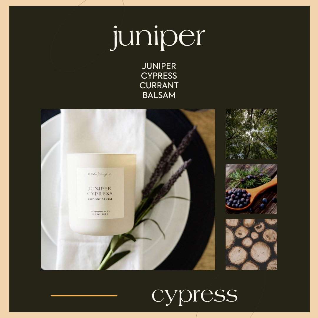 Juniper Cypress - ROAMHomegrownWholesale